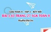 Bài 1.41 SGK Toán 8 tập 1 Kết nối tri thức